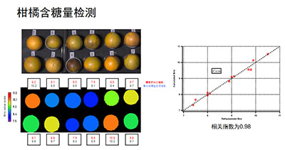 MV.C機(jī)器視覺高光譜成像系統(tǒng)及其應(yīng)用